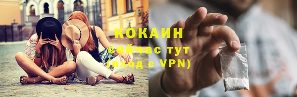 прущие грибы Армянск
