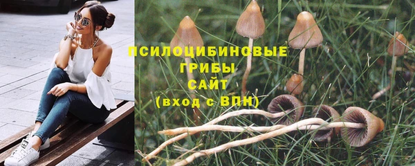СК Арсеньев