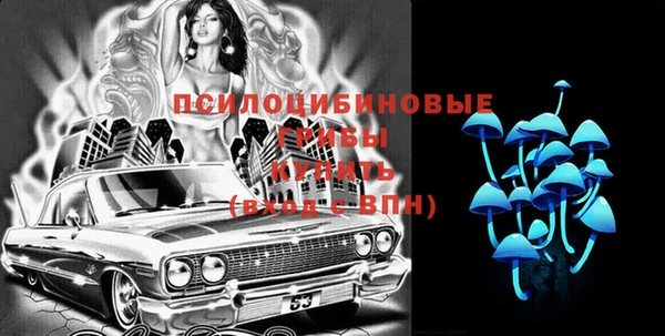 прущие грибы Армянск