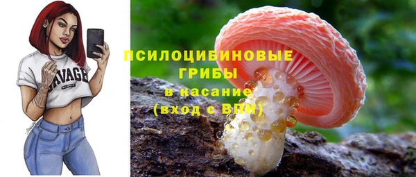 дживик Алексин